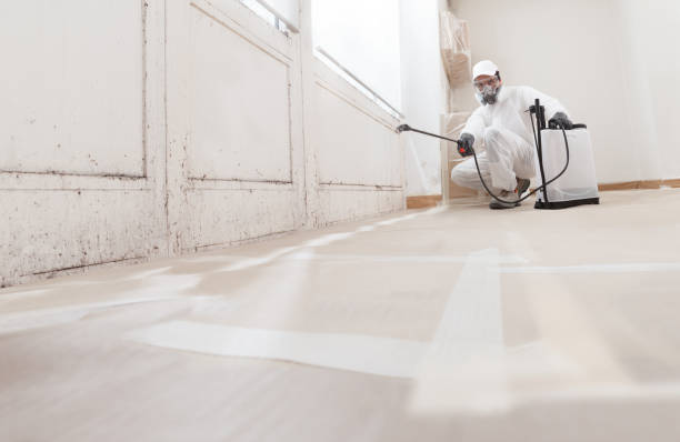 24/7 Emergency Mold Removal experts in Rutherford, PA